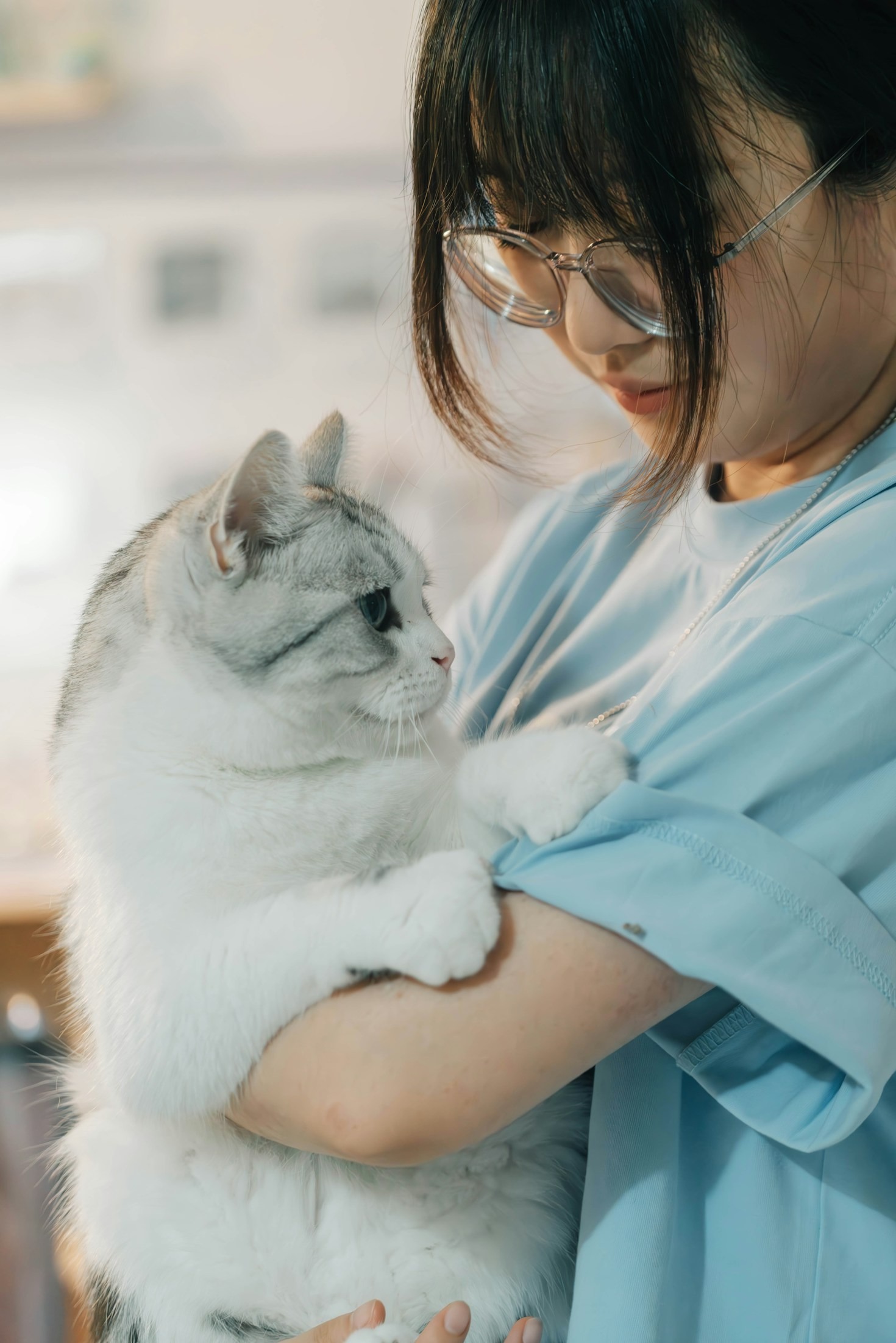 How to Create a Safe Space for Your New Kitten